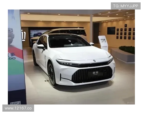 2024年最新91直接入口官方入口推荐与更新